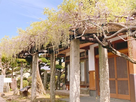 2022.04.13 Ĺ�����ΤĮ���Ų��ƣêIMG_4809