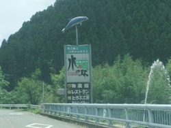 a-8DSCF4241