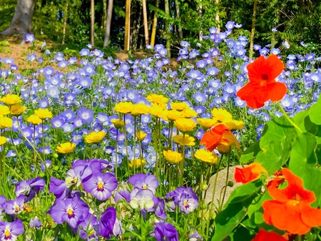 2022.04.19 ����Ը��Į���ھ�̾�β�ȪIMG_5699