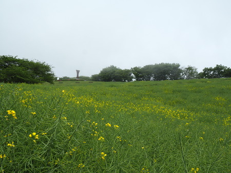 2022.04.25 諫早市 白木峰高原P4250092