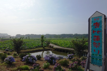 2-��������ϡ��DSC08290