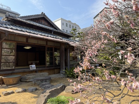 ·ÞÍÛÄâ ´ÑÇß²ñIMG_0535