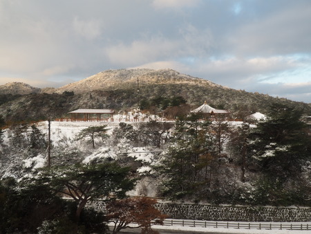 2022.12.27�����粹����������P1012476