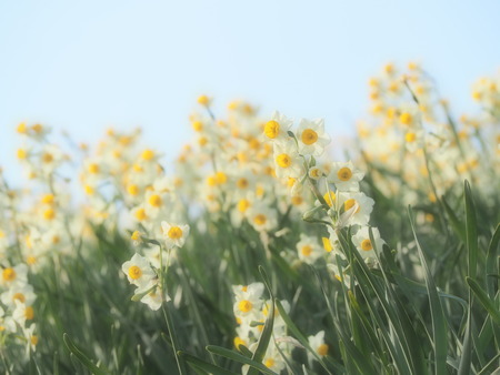 Ĺ�������ꡡ����ε֡���¦Ÿ˾��P1012107