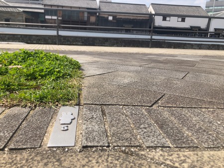 2024.03.24 ����ɽ�綶����I-5IMG_5931