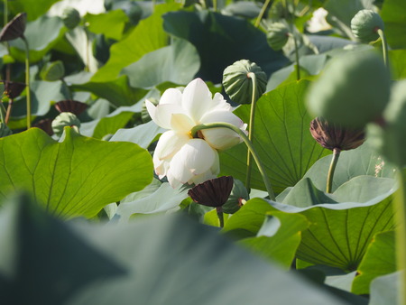 2025.07.22¡¡ëÝÁá»Ô¡¡ÅâÈæ¥Ï¥¹±à¡¡ÁÐÆ¬Ï¡P7230124