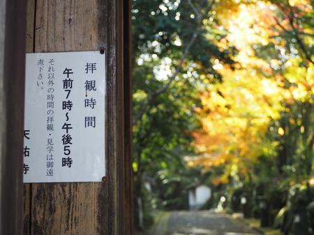 2021.11.21������ԡ�ŷʹ��PB187239