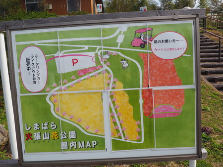2022.10.22 島原市 火張山花公園PA221808