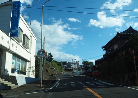 2-南島原市加津佐町 大地牧場のひまわり畑P8126263