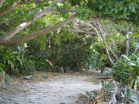 2023.07.24������������Į����곤����쥭���׾�P1018509