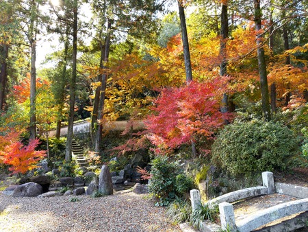 ����ԡ�ŷʹ��IMG_6536