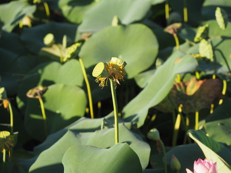 2025.07.26������ϥ���P7270044