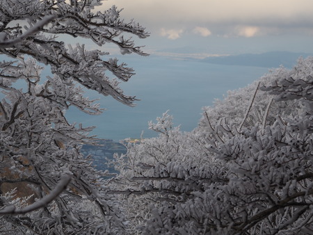 2022.12.03 ±ÀÀç¿ÎÅÄÆ½¡¢Ì¯¸«³Ù¡¡Ì¸É¹P1011751