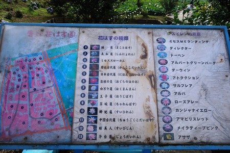 2-��������ϡ��DSC08357