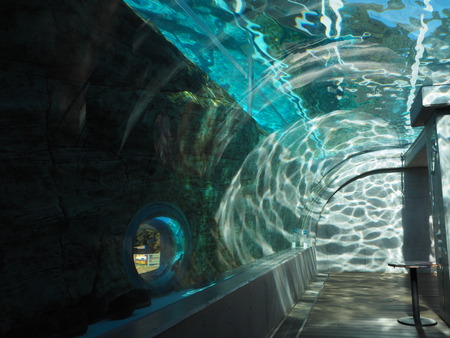 2021.11.14 �����ݻԡ��彽����ư��ʪ�ࡡ�������PB136544