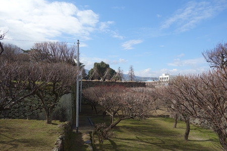 2島原梅園-DSC09486