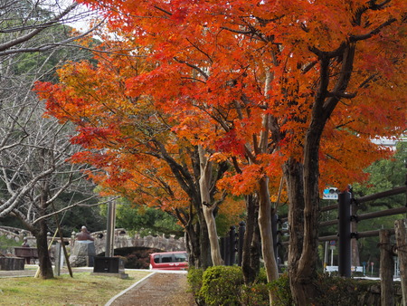 2021.11.21������ԡ��������PB187446