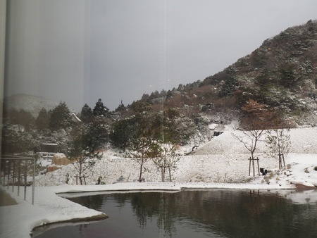 2022.12.27�����粹����������P1012525