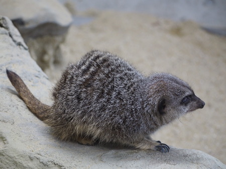 2021.11.14 �����ݻԡ��彽����ư��ʪ�ࡡ�������PB136426