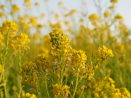 ��ڤβ�PC201372