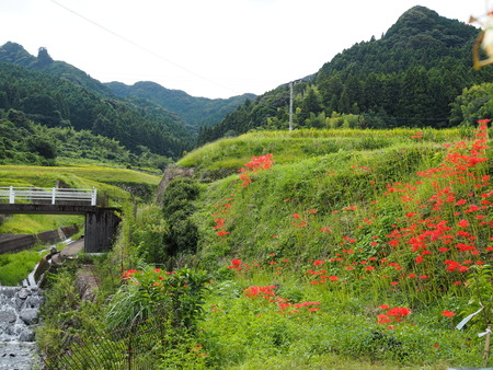 ȺĮêĤޤĤꡡP9241275