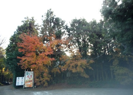 2-DSC05405