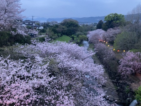 2024.04.03 雲仙市橘神社IMG_8545