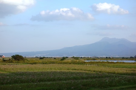 1-DSC00442