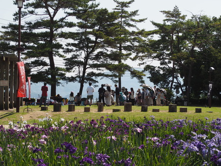 2022.06.03 大村公園 花菖蒲P6031356
