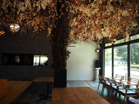 7-´ÒÁá»Ô±§ÅÔÄ®¡¡Earth¡¡P4140101