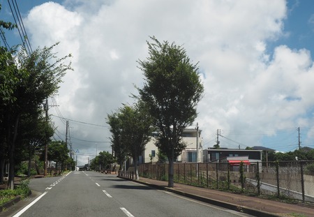 2022.08.03 Ĺ��Ԥ������Τ������ɥ��ե���P8033879