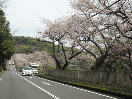 2023.03.25 諌早市多良見町 古川バス停P1018592