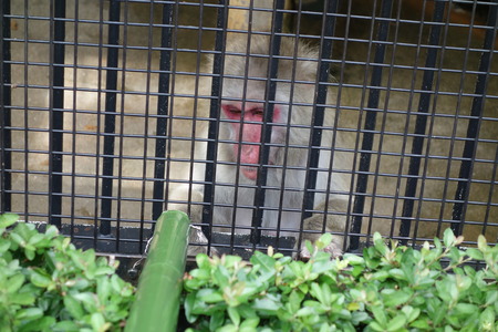 14-Ĺ���ưʪ�Ҥ���DSC09504