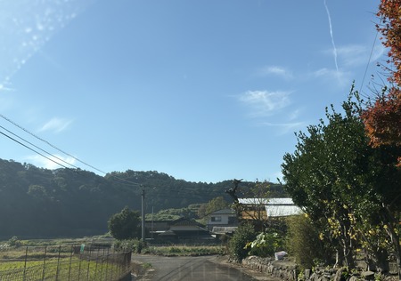 ����Ծ�Ĺ��Į�ĸ����ֶ����β�IMG_3581