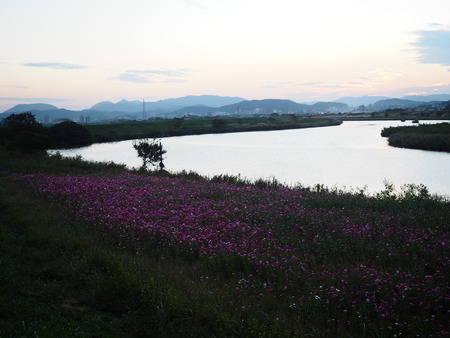 2−不知火橋PA150554