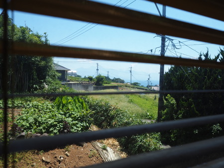 2021.07.04�����ͭ��Į���ɥ饤�֥����¿P8035241