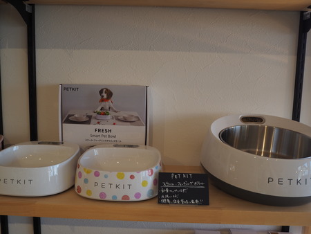 2021.09.25¡¡±ÀÀç»Ô¹ñ¸«Ä®¡¡rain P9160924