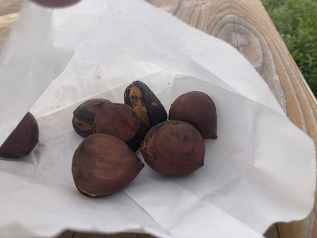 ��������Υ����⥹����μ�IMG_0461