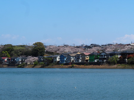 �׳��䤹�餮�ξ���P4021729