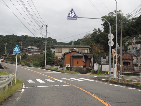 3−多良見町大草 コスモス畑PA191934