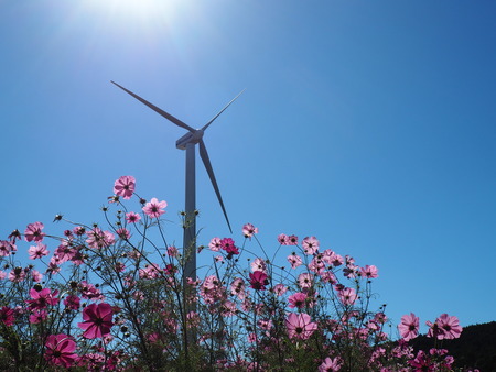 2023.10.22������Ծ�Ĺ��Į�����ʥե���PA211728