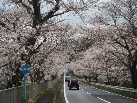 13-�����¿�ɸ�Į������Х���κ�����P3203835