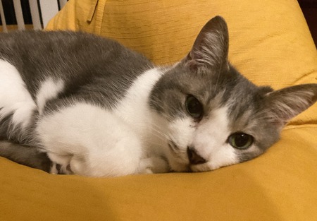 2023.1.1 まるちゃんIMG_1913