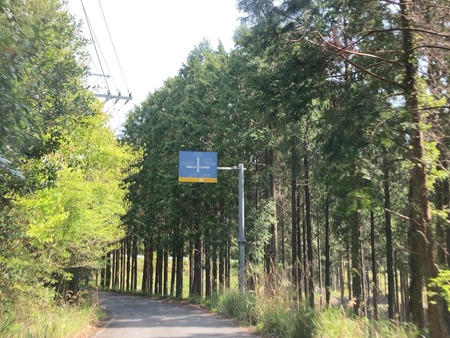 2025.07.19�����ὤ¿��ο�IMG_1204