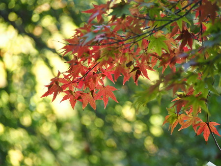 2024.12.02 ����ԡ�ŷʹ��PC020101