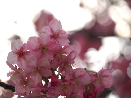 �׸�����β��ź�P2221492