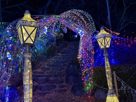 ����Į��������Υ��ꥹ�ޥ�����ߥ͡������IMG_8512