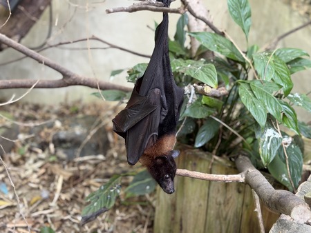 Ĺ��Х����ѡ������������IMG_0090