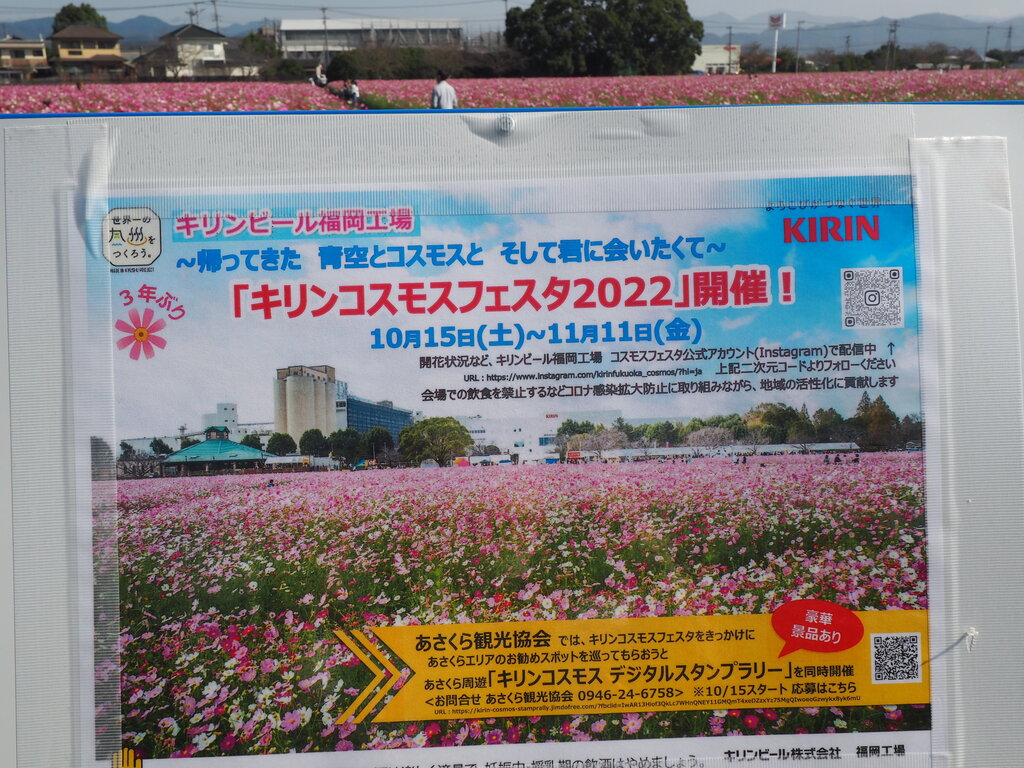 22 広大で圧巻のコスモス園 キリンビール福岡工場 キリン花園 福岡県朝倉市 長崎 諫早市民 ふくちゃんの食う 寝る 遊ぶ日記 22 広大で圧巻のコスモス園 キリンビール福岡工場 キリン花園 福岡県朝倉市 長崎 諫早市民 ふくちゃんの食う 寝る 遊ぶ日記