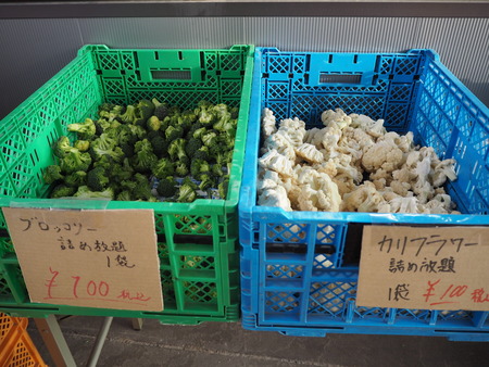 2022.01.14 雲仙市愛野町 無人販売トレベジP1092949